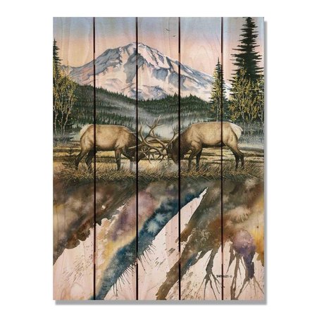 RICKI&APOSS RUGS 28 x 36 in. Bartholets Clash of the Titans Inside & Outside Cedar Wall Art RI894607